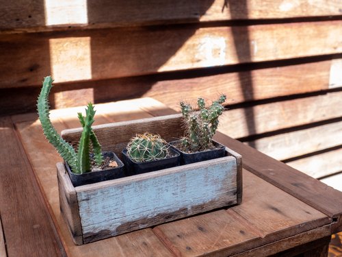 A photo of a whitewashed planter pot sitting on top of a DIY wooden table