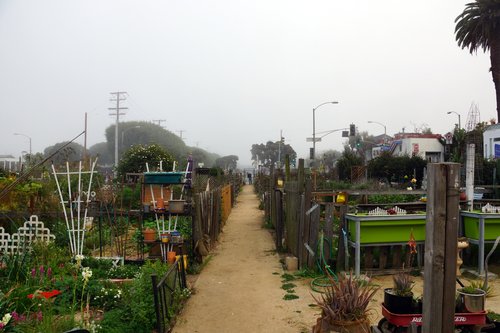 An example of a DIY community garden as inspiration
