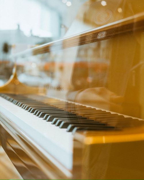 Unlock Your Musical Potential: A Beginner's Guide to Piano - Beginners ...